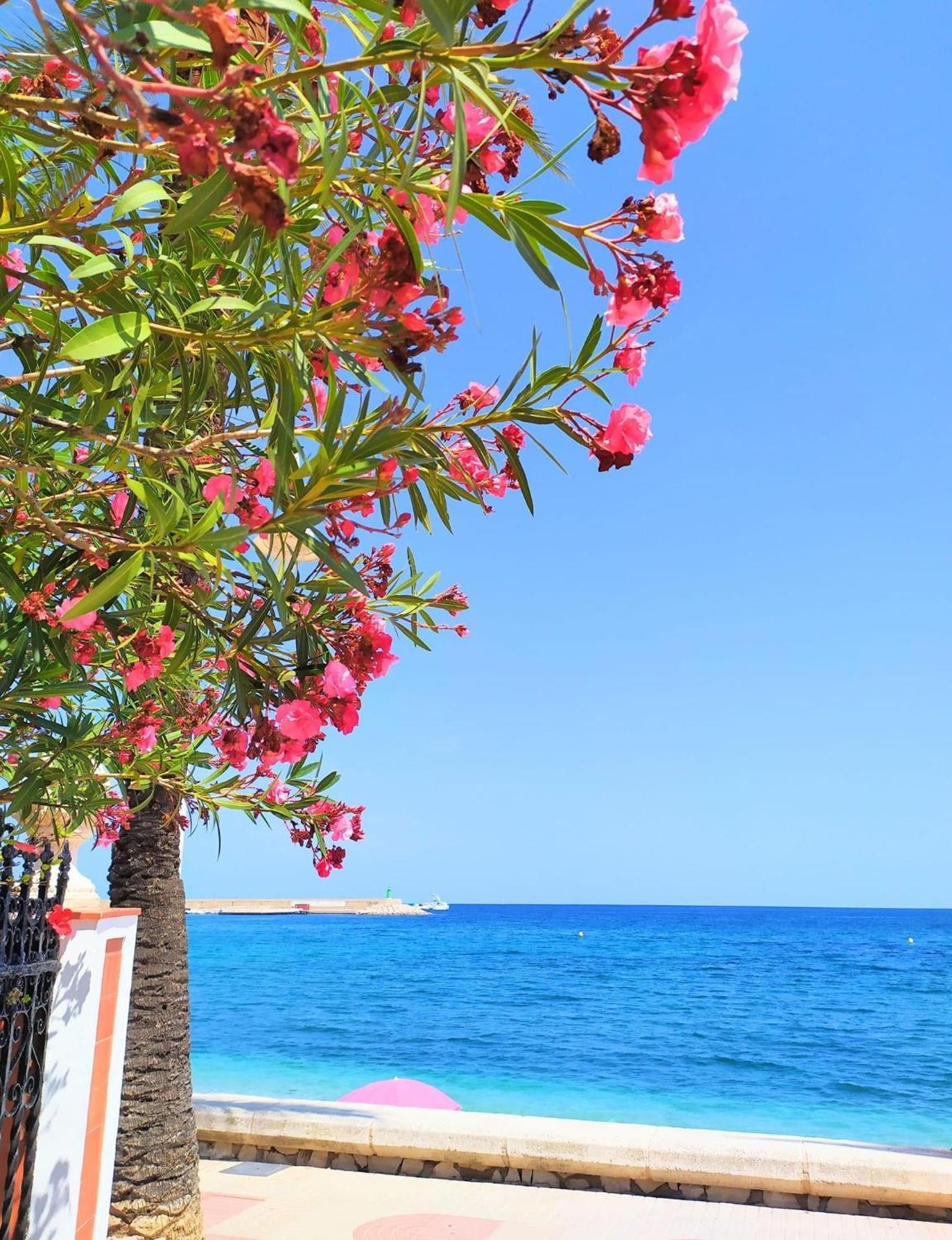 Javea Arenal Beach מראה חיצוני תמונה