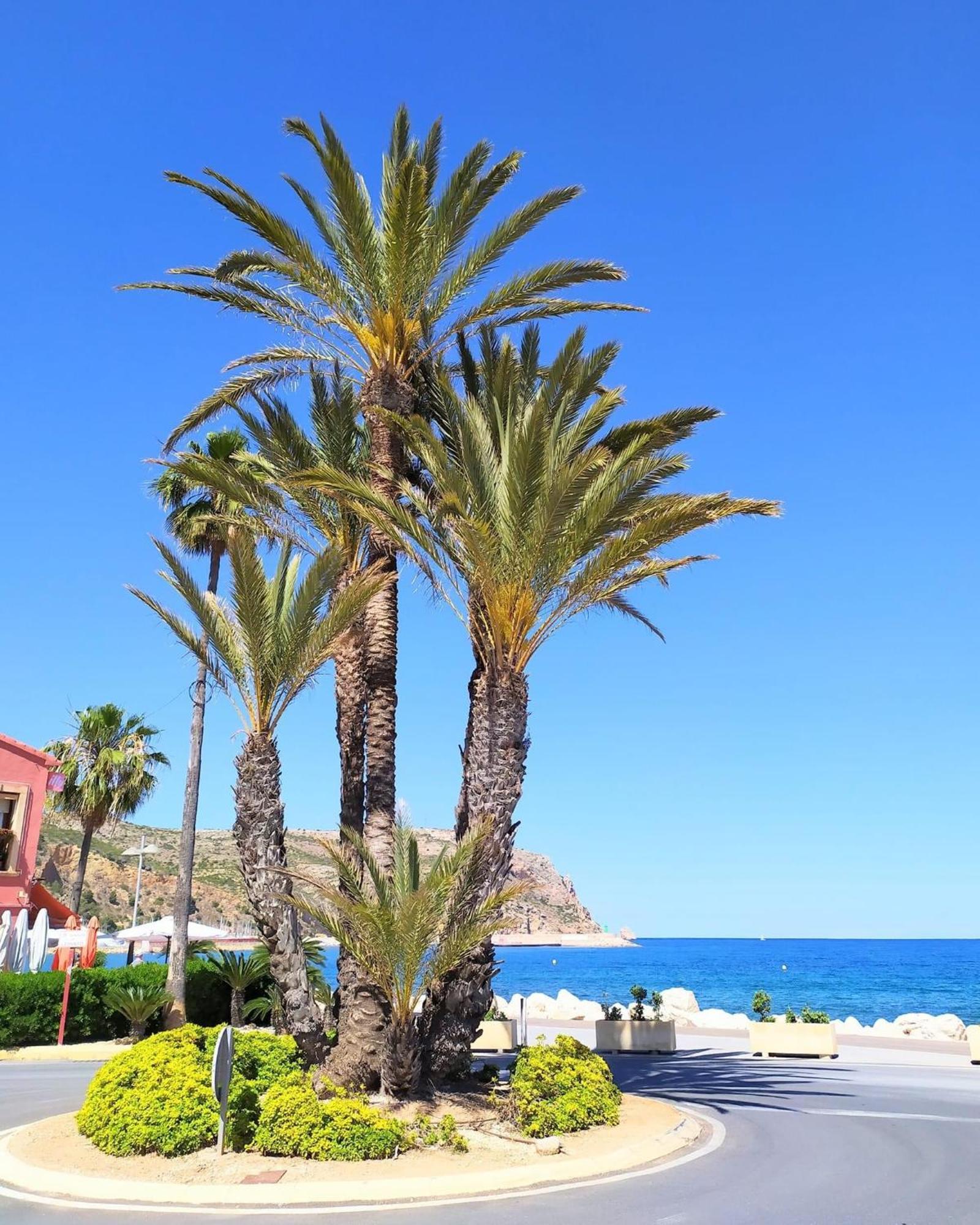 Javea Arenal Beach מראה חיצוני תמונה